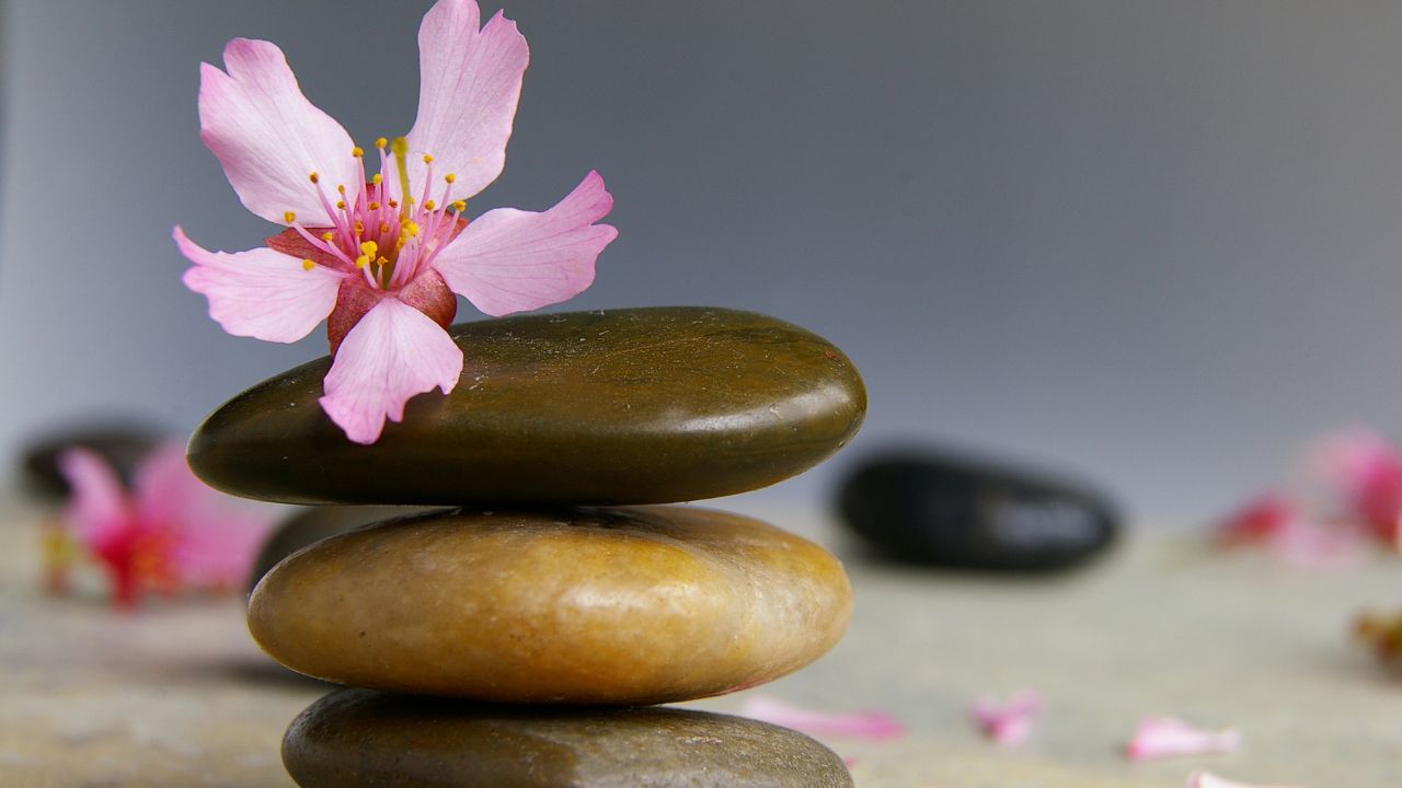 holistic medicine