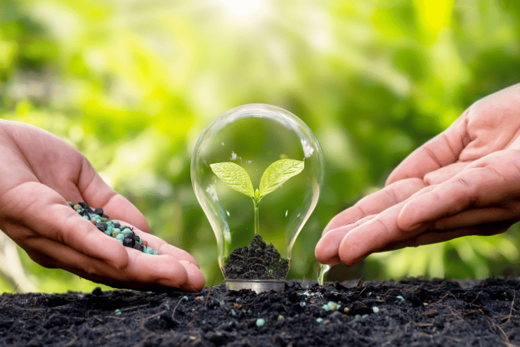 Hands holding a light bulb with a plant in it, symbolizing growth and innovation. atma acupuncture